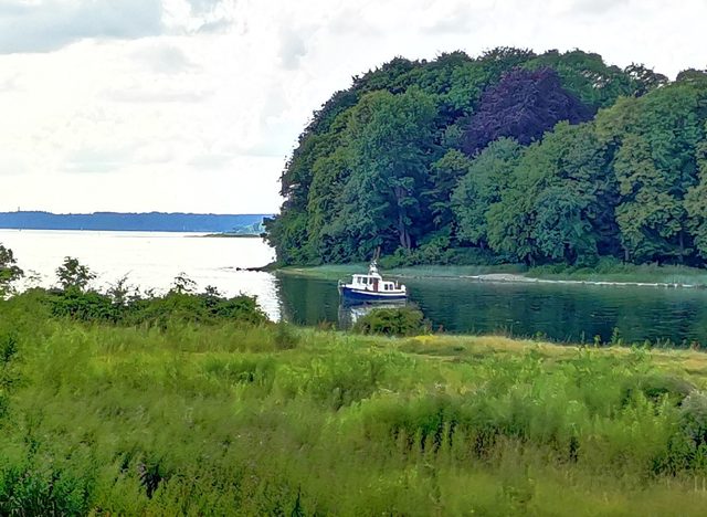 Grüne Küste und Wasserblick