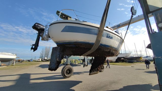LilleMolly wird mit einem Kran aus dem Wasser gehoben