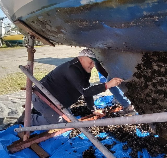 Jürgen entfernt den Bewuchs vom Unterwasserschiff