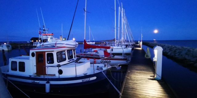 Molly am Steg in der blauen Stunde