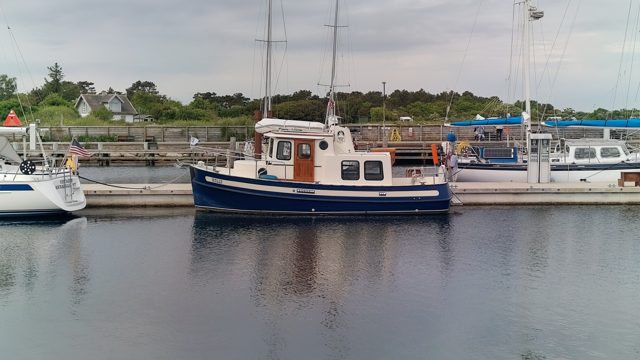 Molly am Steg während einer Reise