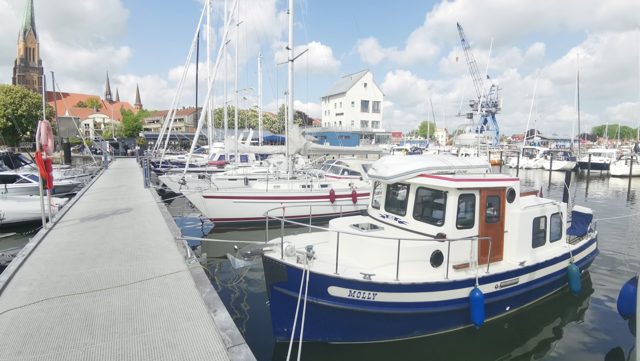 Molly zwischen Segelbooten im Hafen